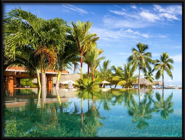 Piscine avec affiche de palmiers – Image 2