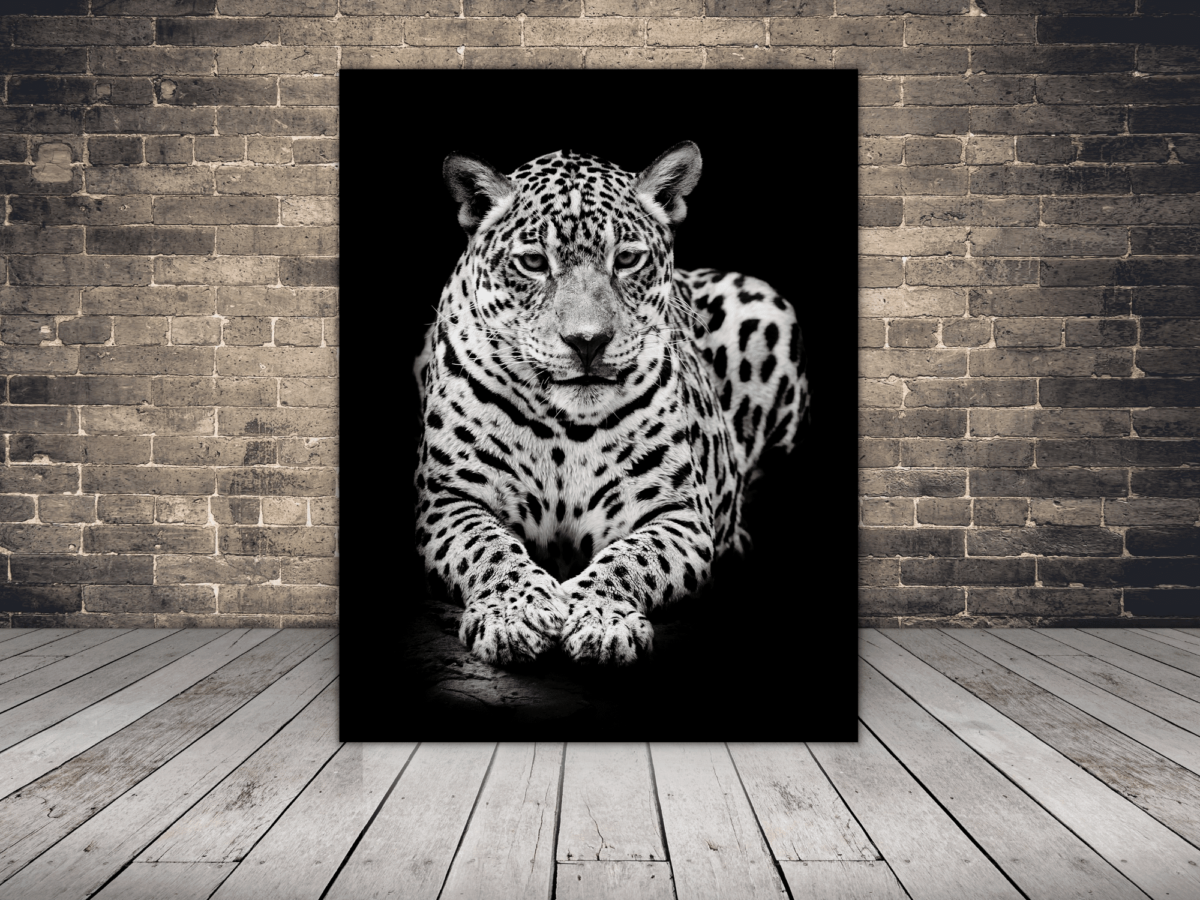 Paire De Coussins Déco Velours – Motif Guépard Robert Allen – Doux Et Luxueux – 50x50 Cm