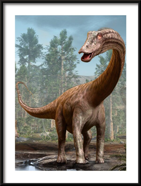 La grande affiche diplodocus – Image 3