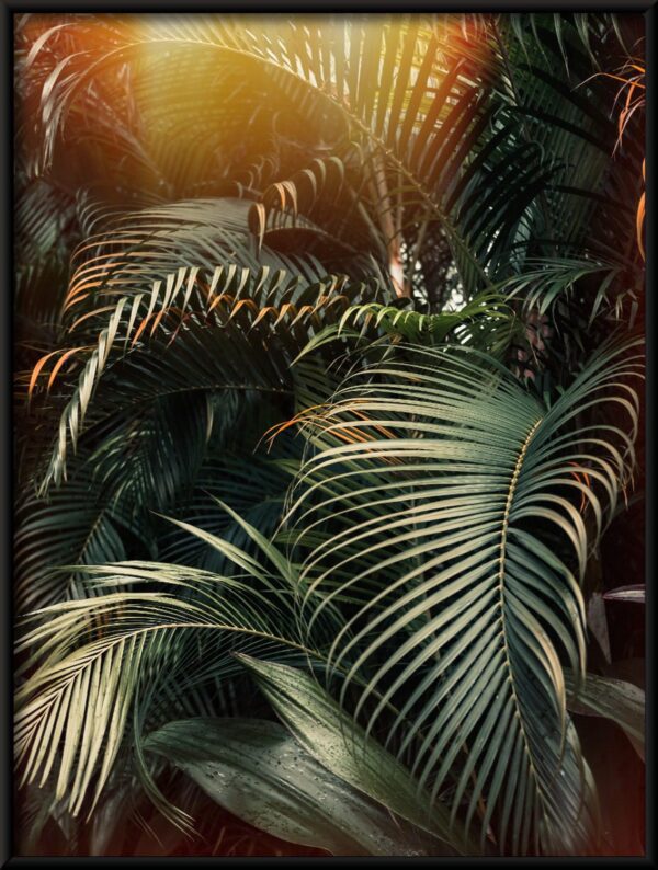 Palm Light Poster – Image 2