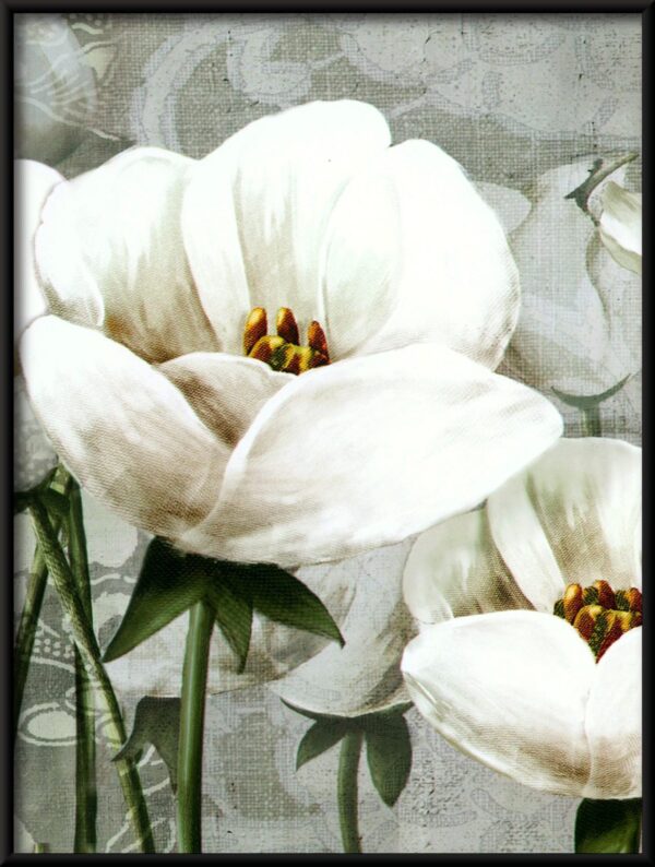 Tulipes blanches Poster – Image 4