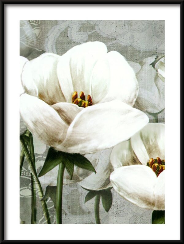 Tulipes blanches Poster – Image 3