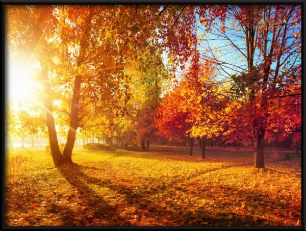 Affiche de soleil d'automne – Image 2