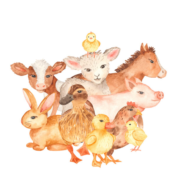 Papier peint Animaux de la campagne