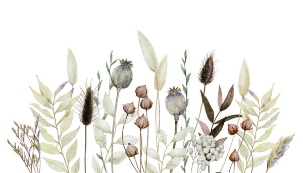Papier peint Inflorescences d'herbes