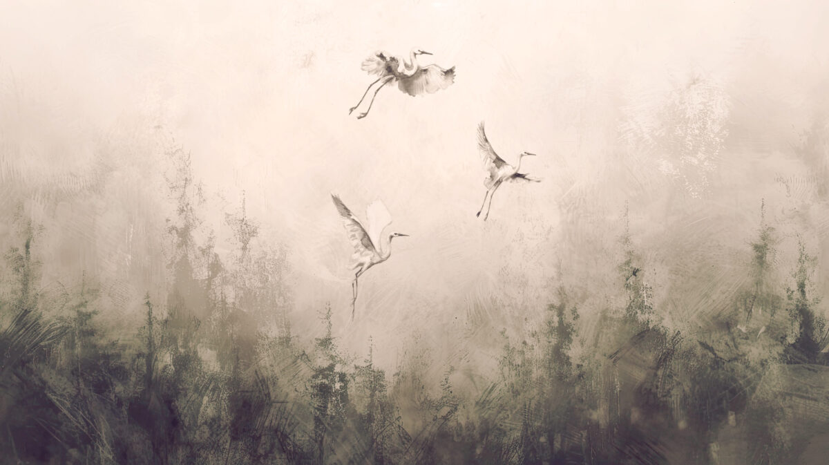 Papier peint Oiseaux majestueux en vol