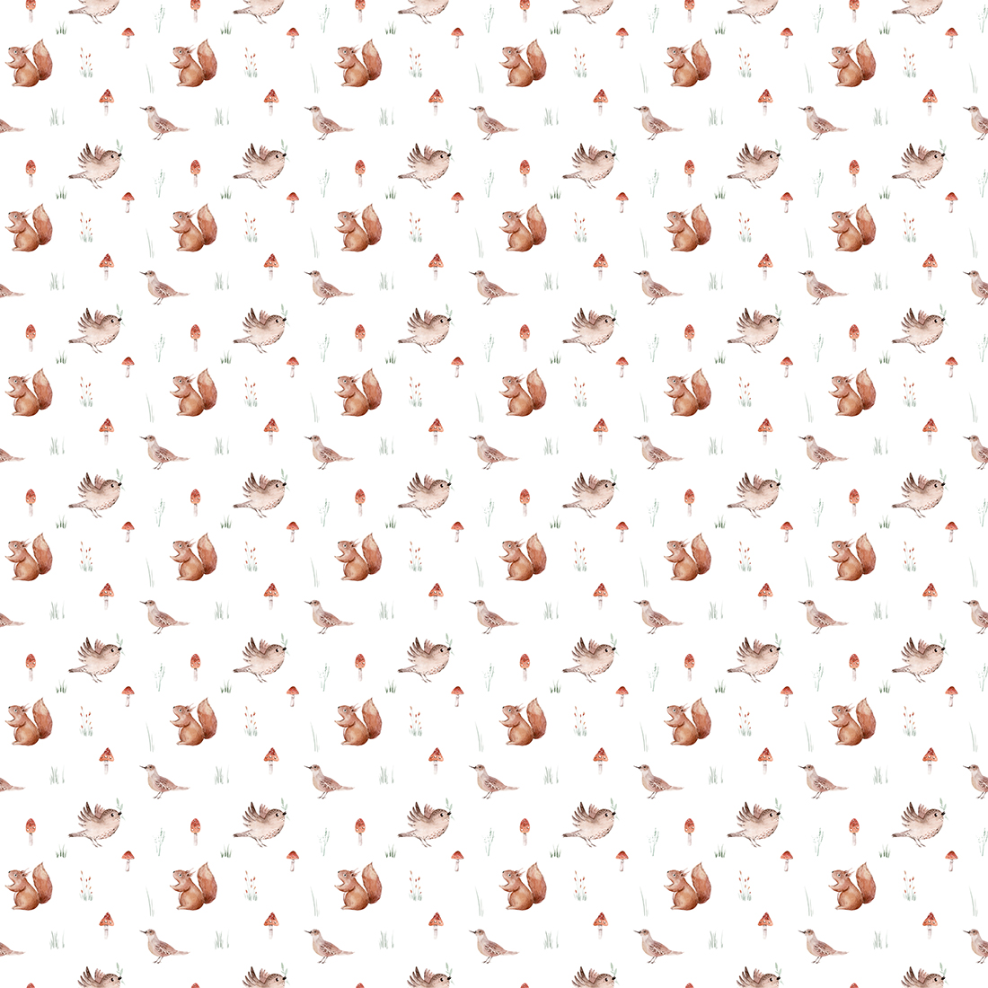 Papier peint Écureuils