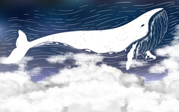 Papier peint Baleine blanche