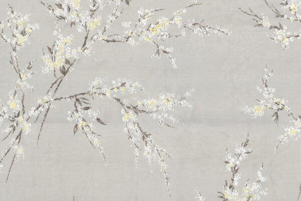 Papier peint Fleurs blanches de printemps