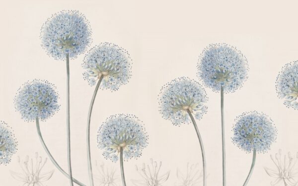 Papier peint Pissenlits bleus