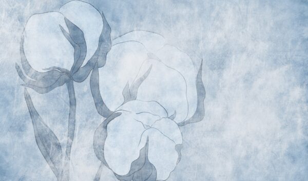 Papier peint Fleur de coton bleue