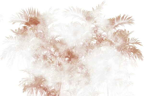 Papier peint Palmier brun dans le brouillard