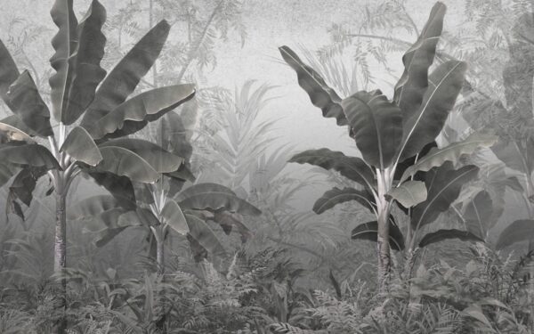 Papier peint Jungle sombre