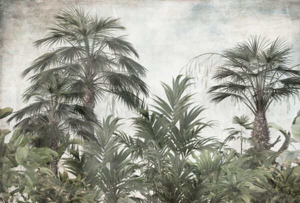 Papier peint Vert foncé dans la jungle