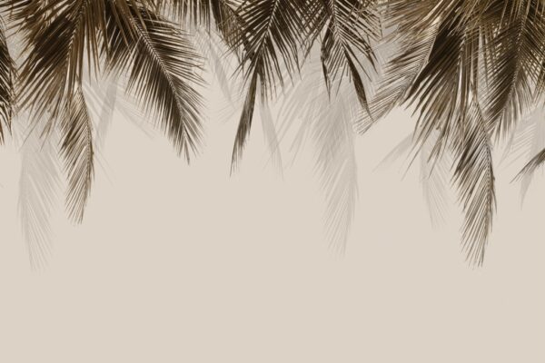 Papier peint Feuilles longues et sombres