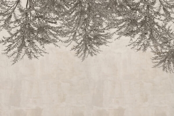 Papier peint Brindilles sombres