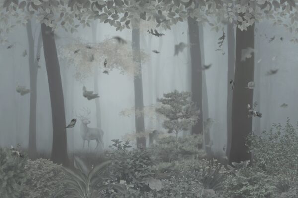 Papier peint Forêt sombre