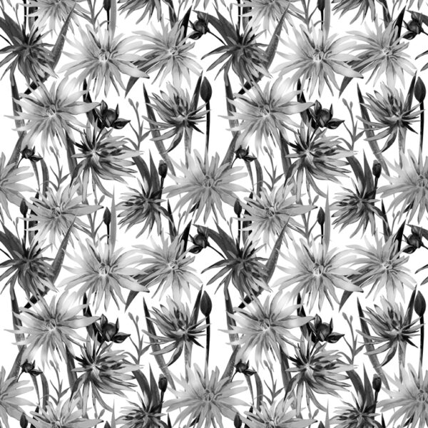Papier peint Fleurs noires en fleurs