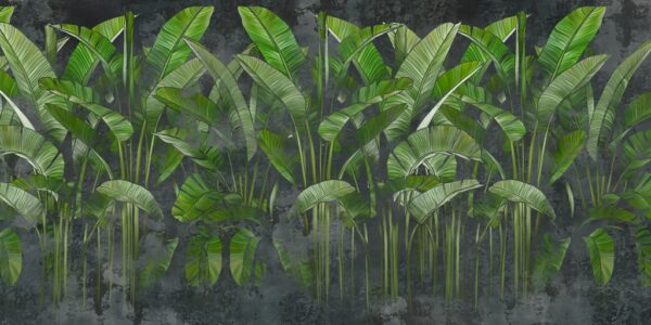 Papier peint Longues feuilles vertes