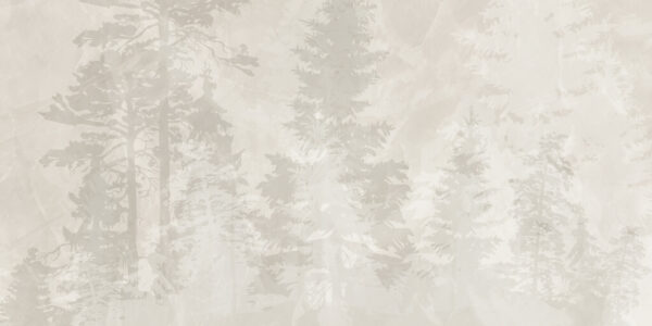 Papier peint Les arbres derrière le brouillard