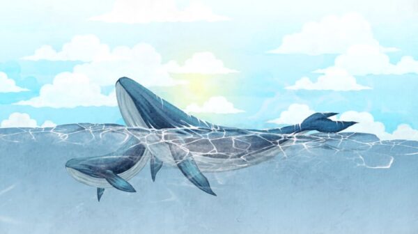 Papier peint Deux baleines pour les enfants