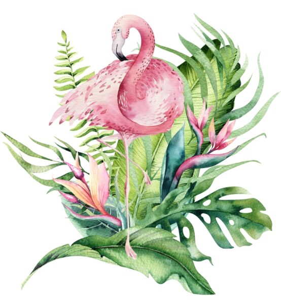 Papier peint Flamant rose dans les feuilles