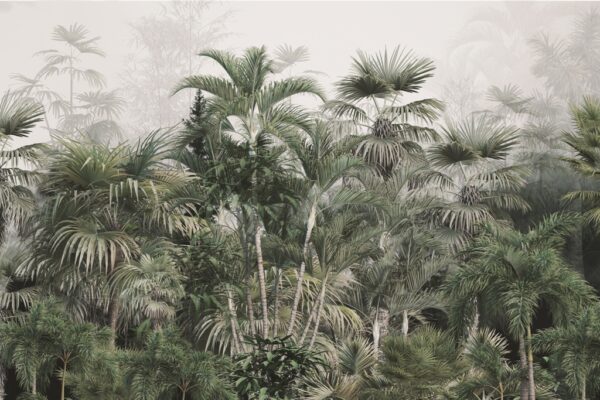 Papier peint Végétation tropicale dense