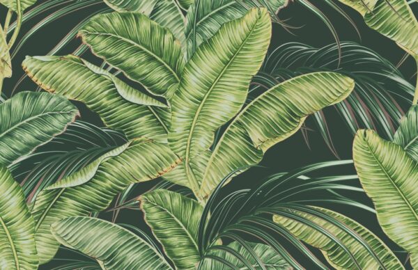 Papier peint Feuilles exotiques vert clair