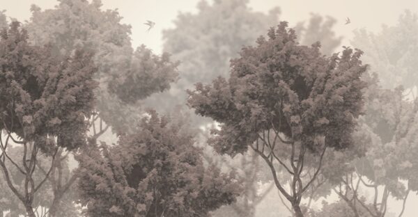 Papier peint Couronnes d'arbres