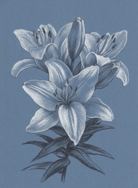 Papier peint Fleur de lys en bleu