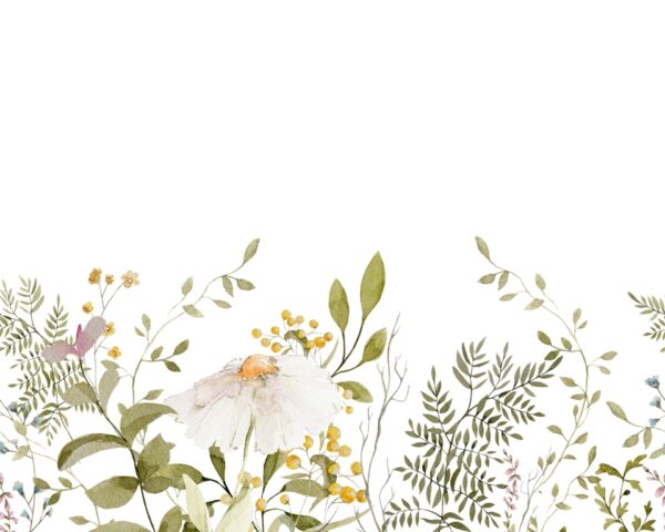 Papier peint Fleur de camomille