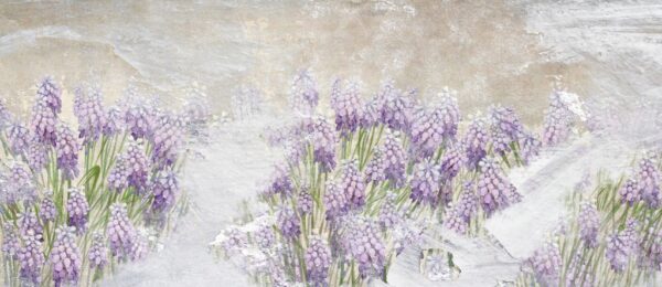 Papier peint Prairie de jacinthes de raisin en fleurs