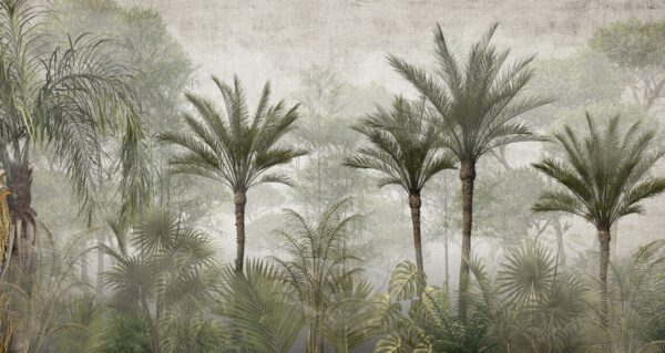 Papier peint Forêt de grands palmiers dans le brouillard