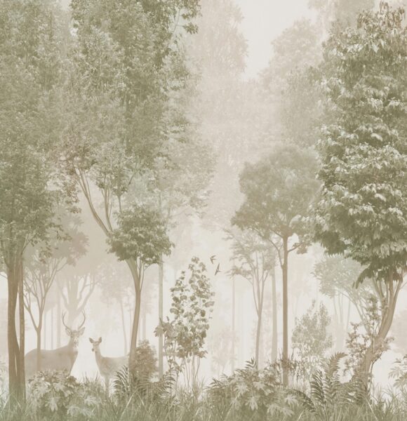 Papier peint Paysage forestier