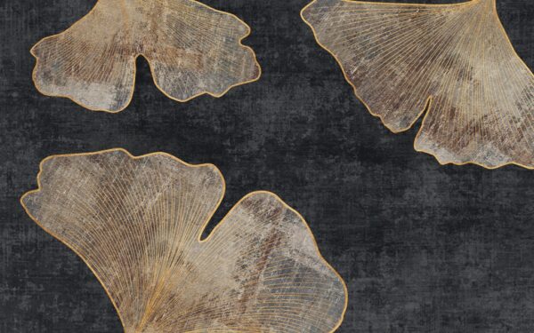 Papier peint Feuilles de ginkgo