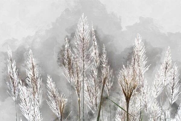 Papier peint Givre sur les plantes