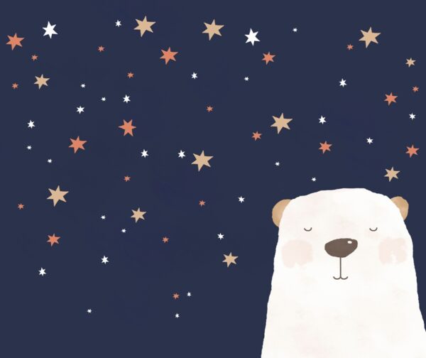 Papier peint Ours dans les étoiles