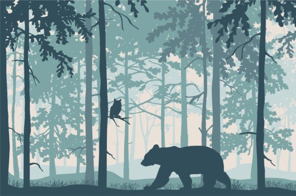 Papier peint Ours dans la forêt bleue