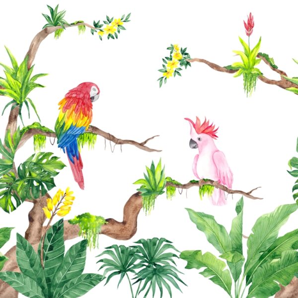 Papier peint Perroquets sur les branches