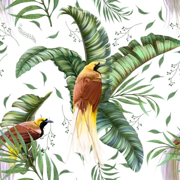 Papier peint Oiseaux de paradis