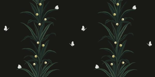 Papier peint Plantes sur fond noir