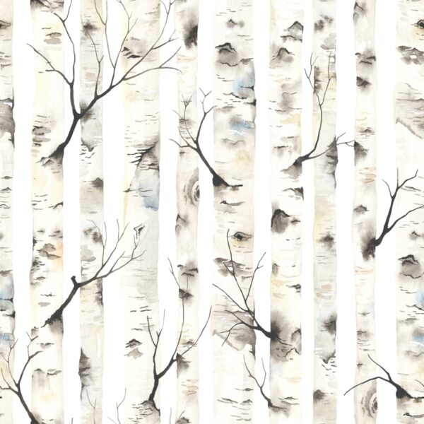 Papier peint Mur de forêt de bouleaux