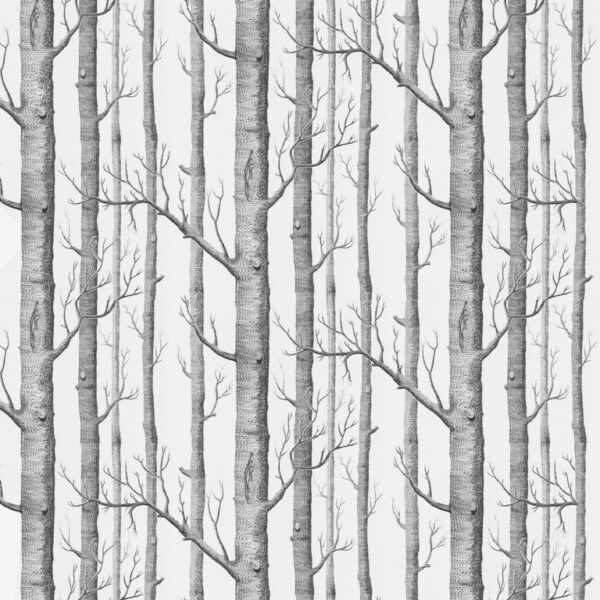 Papier peint Mur d'arbres