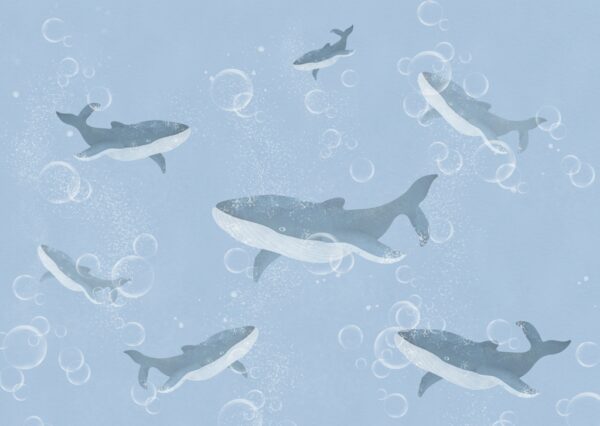 Papier peint École de baleines