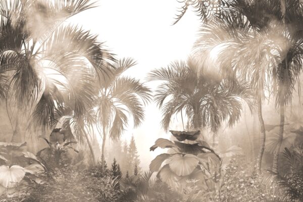 Papier peint Lumière dans la jungle