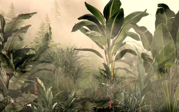 Papier peint L'aube dans la jungle