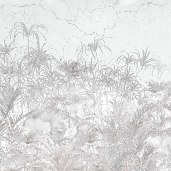 Papier peint Plantes grises sur le mur
