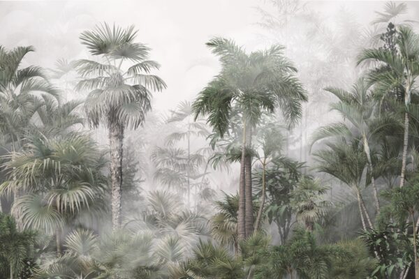 Papier peint Tropiques dans le brouillard