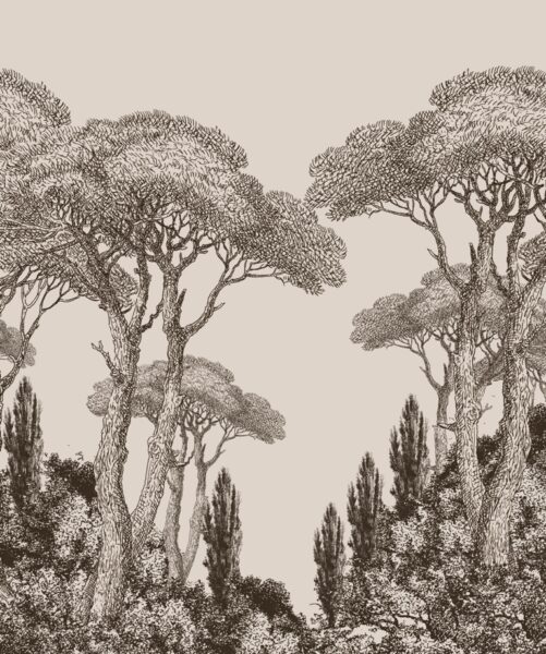 Papier peint Grands arbres
