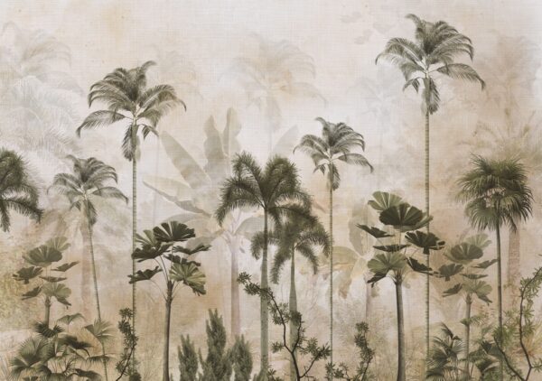 Papier peint De grands palmiers derrière le brouillard